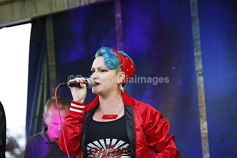  - ELMSTOCK 2019 the music makers
