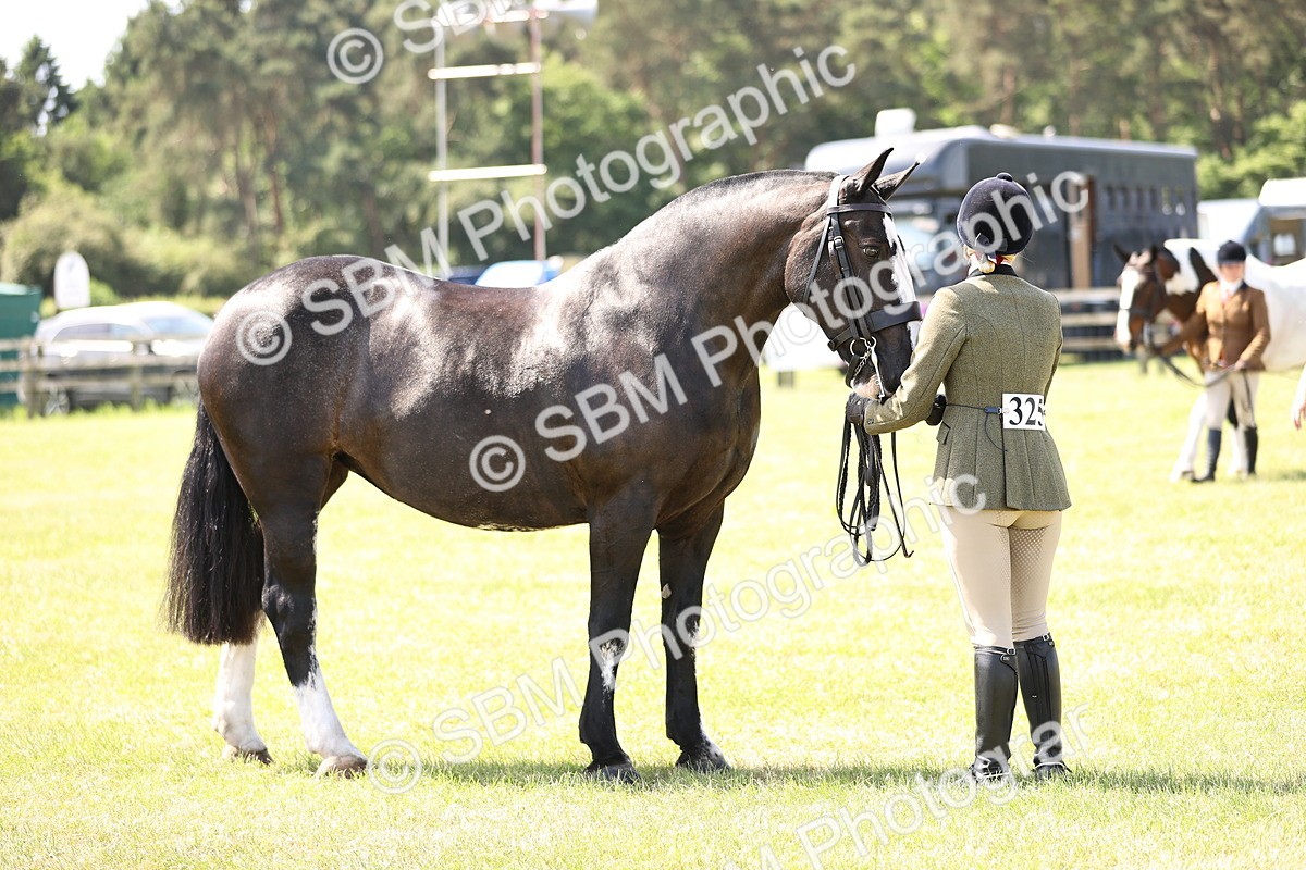 SBM_13819 - Class 77 - LIHS BSHA Rising Star Cobs