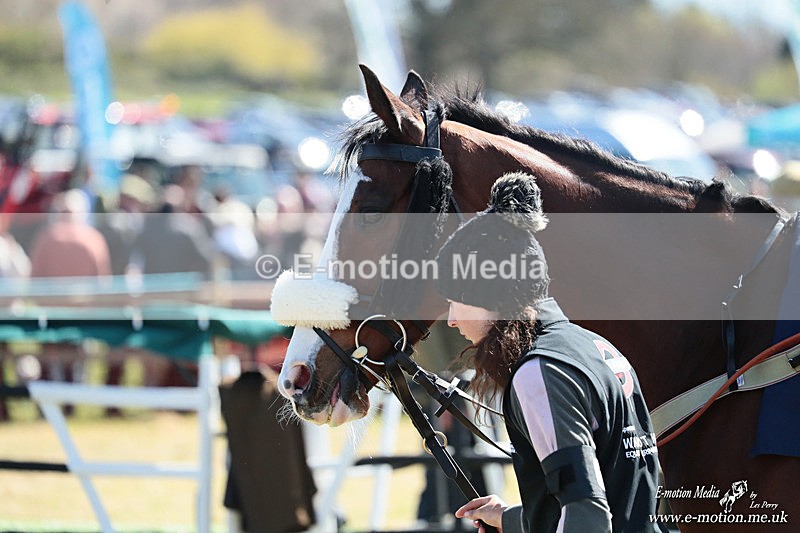 PtP 060426 221 - Paxford Races North Cotswold Easter Mon 06/04/26
