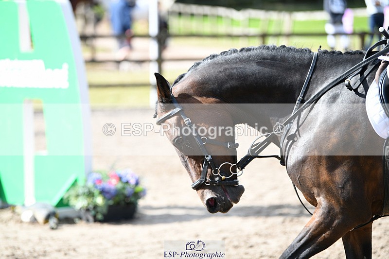 240825X-100547-30901 - 70cm SJ 9.15 to 10.21