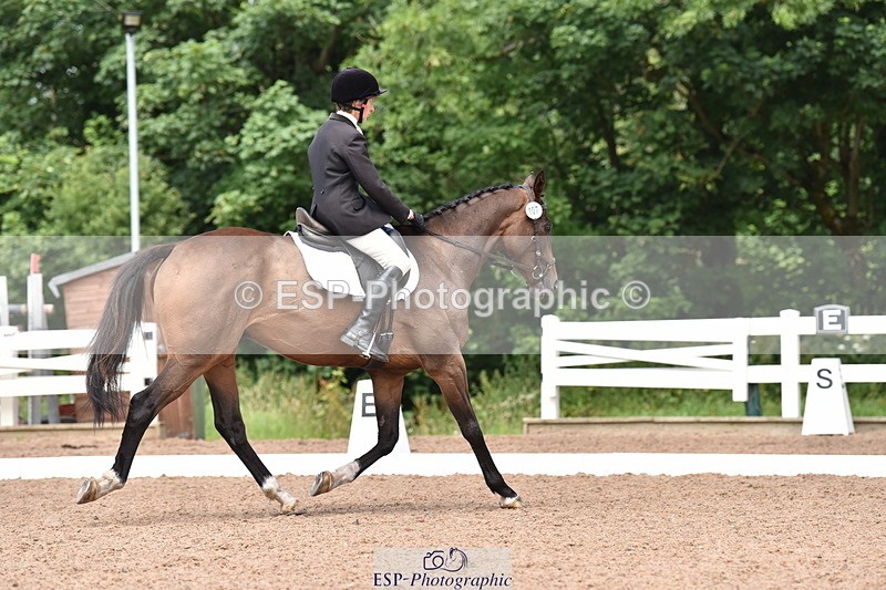 240706A-133852-02683 - Cls 4A Snr Novice 24