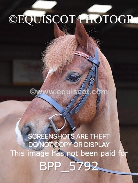 BPP_5792 - Sarah Page