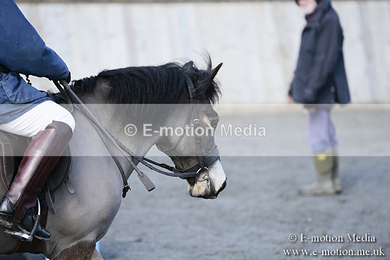 BVRC SJ 170319 9 - Bourne Valley Riding Club Showjumping 17/03/19