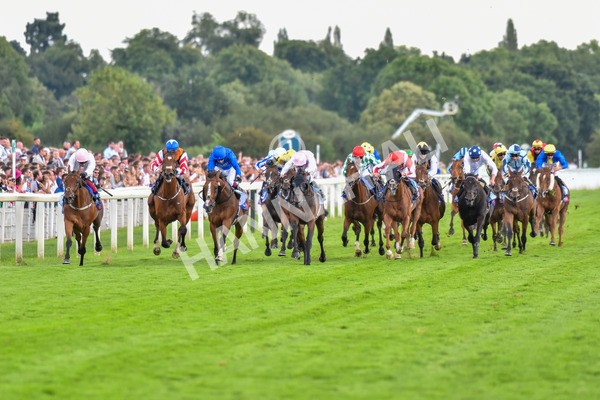 260823-Race 4-Absurde-0900 - Race 4 Sky Bet Ebor Handicap