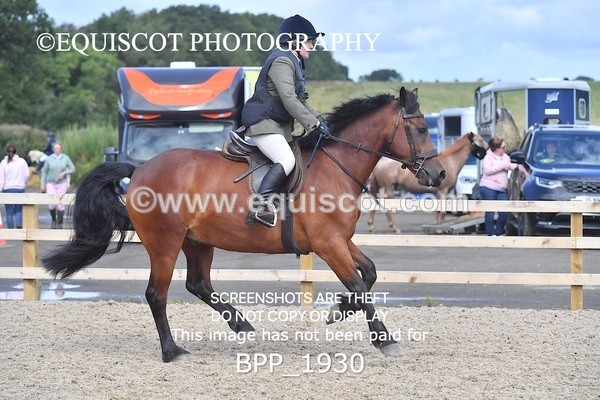 BPP_1930 - DERBY CLASS 5 - 60CM