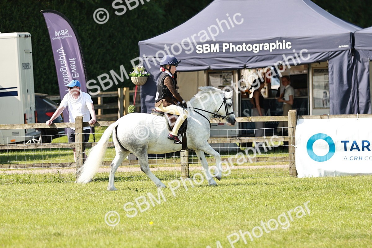 SBM_12688 - Class 106-107 - BSPS LIHS Working Sports Pony