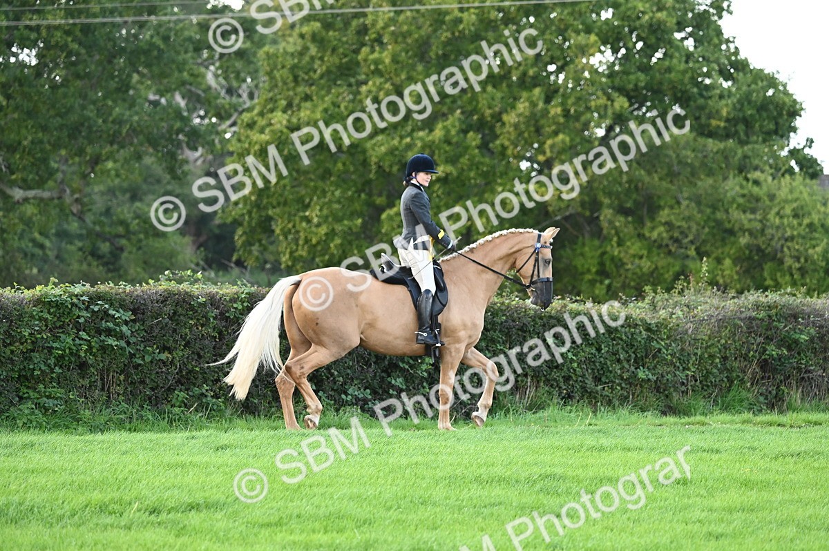 SBM_26530 - S6 - Novice & newcomer Ridden horse