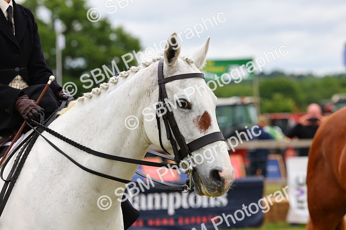 SBM_02764 - Class 9-11 Side Saddle including LIHS Rising Star Ladies Show Horse
