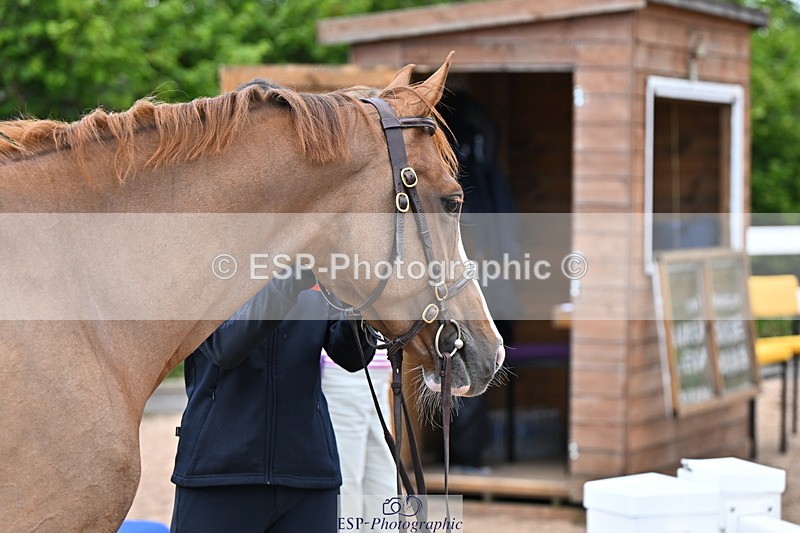 240718A-105308-01611 - Trot Up 1pm to 2pm