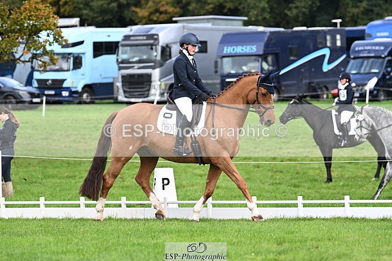 251023A-112919-03577 - G-513-Mimi.van.Ufford
