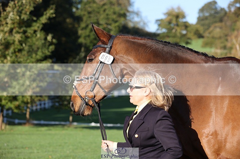 241027-085854-14942 - 369-Carolyn.Price-I.WISH.ANDY