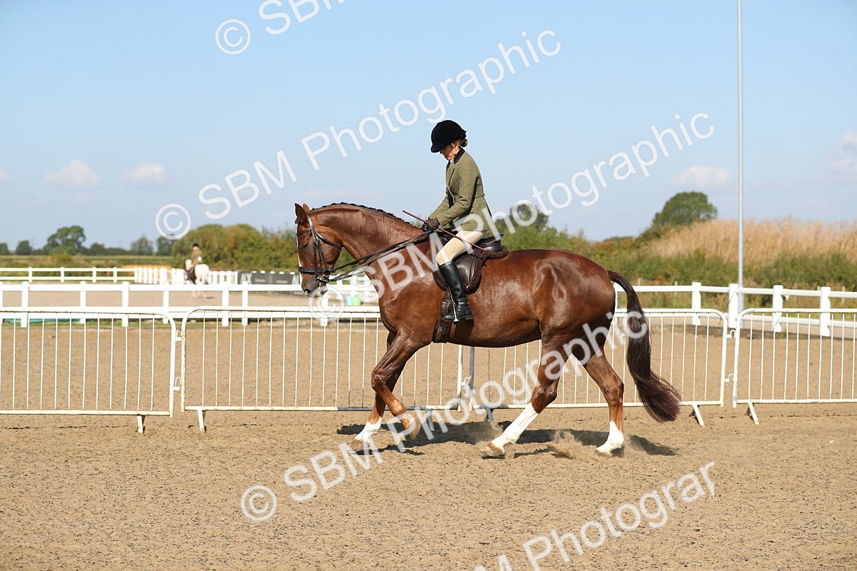 SBM_02240 - Class 43 Ridden Competition Horse/Pony