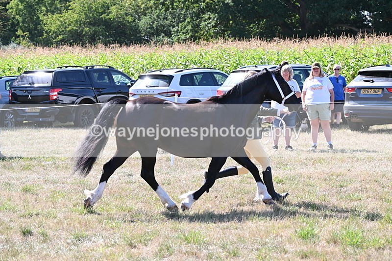 WJ6_4882 - Class 17 Mountain & Moorland