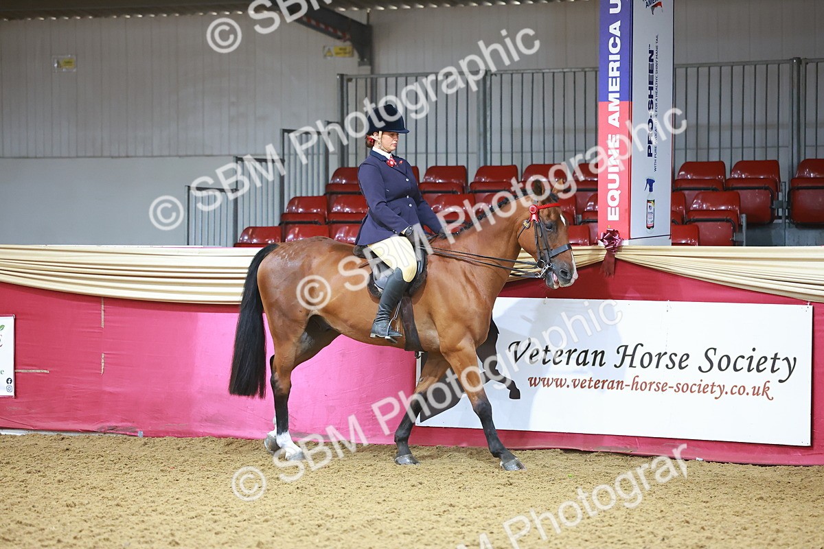 SBM_07548 - Class 101 - HOYS Veteran Qualifier - Ridden Diamond