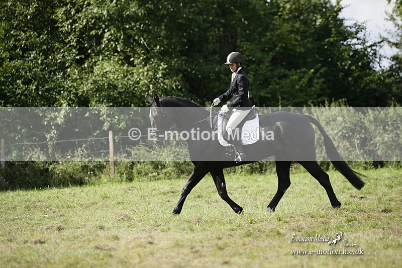 BVRC 120921 374 - Bourne Valley Riding Club UA Dressage & Show Jumping 12/09/21