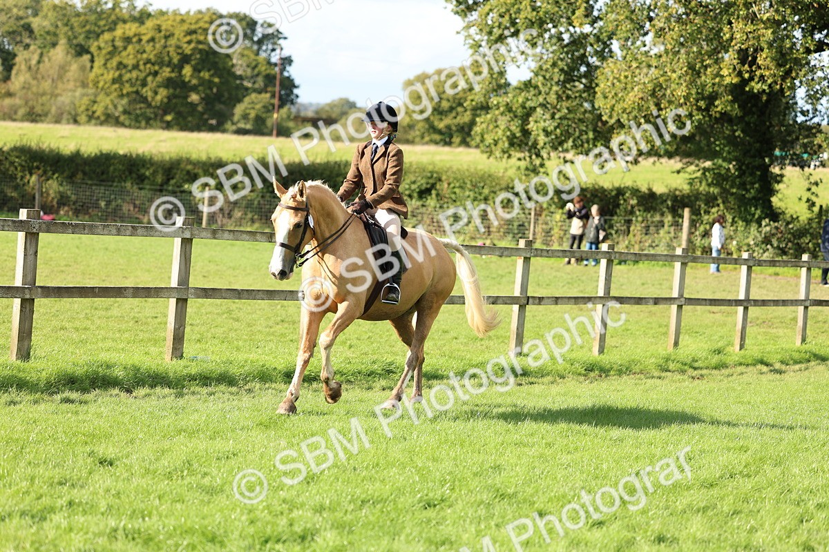 SBM_50082 - S34 - Novice & Newcomers Working Hunter