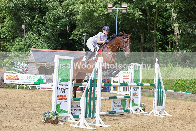 3E7A7506 - Class 9: Senior Foxhunter/1.20 open