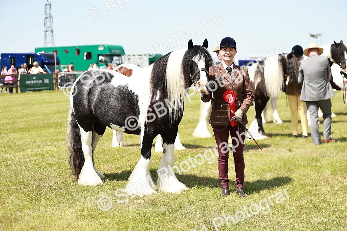 SBM_04261 - Class 39-40 - BSPA Coloured In Hand