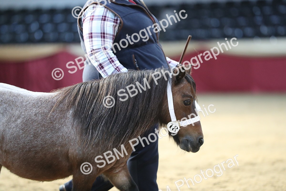 SBM_01281 - Class 3a Area IH Pre Vet