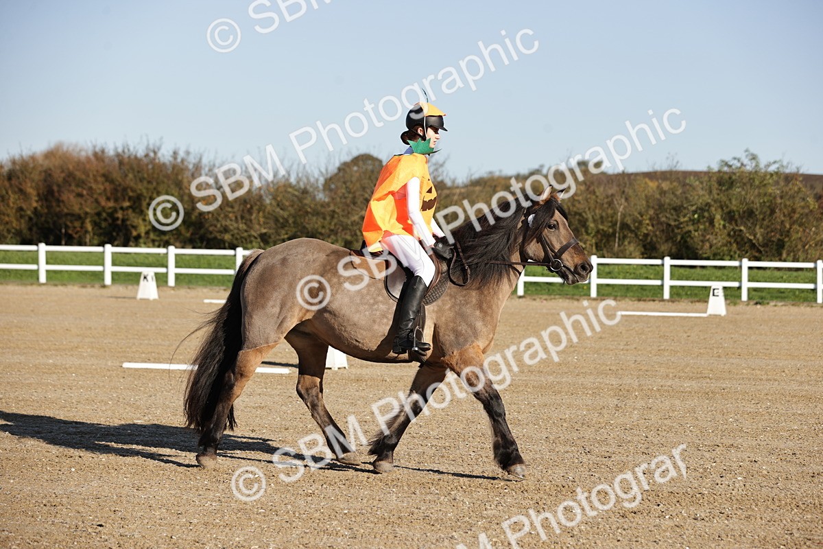 SBM_000811 - Class 3 - Intro C