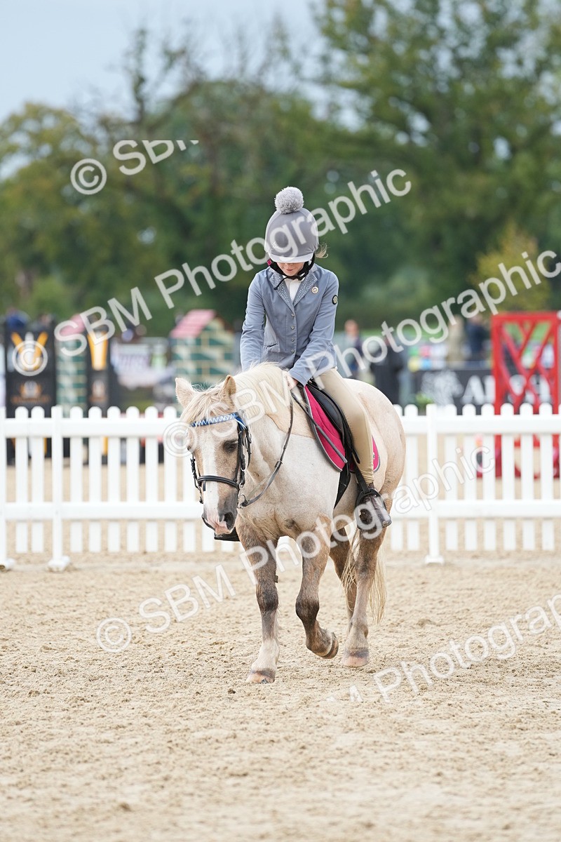 SBM_32397 - J5 - Junior Pony 50cm Championship