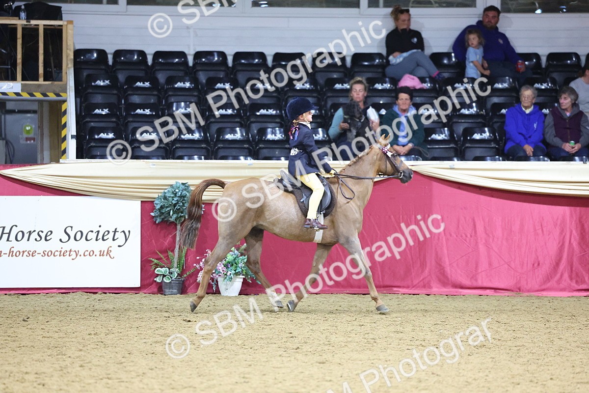 SBM_18872 - Class F Grass Roots Champ