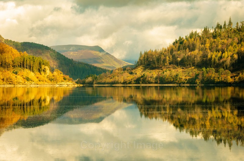 Autumn Stillness - Portfolio