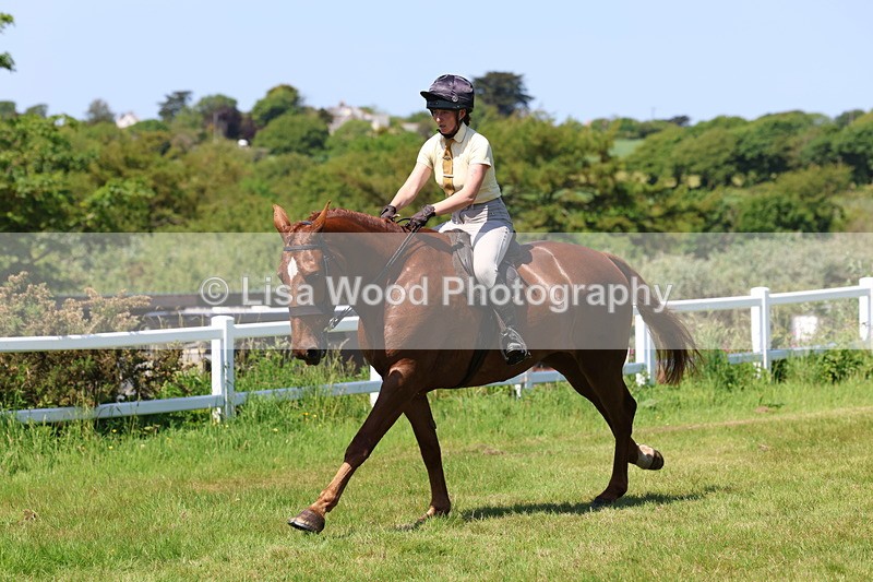 3E7A8095 - Working Hunter Championship