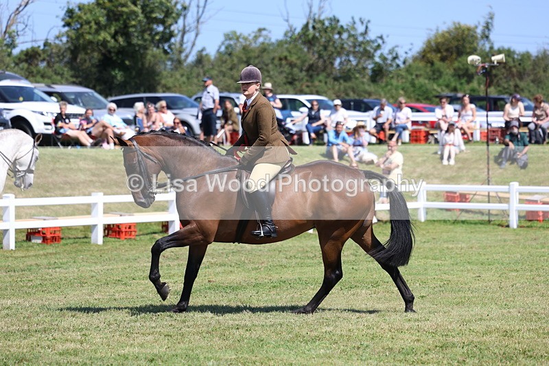 3E7A7519 - Rising Star Ridden Championship