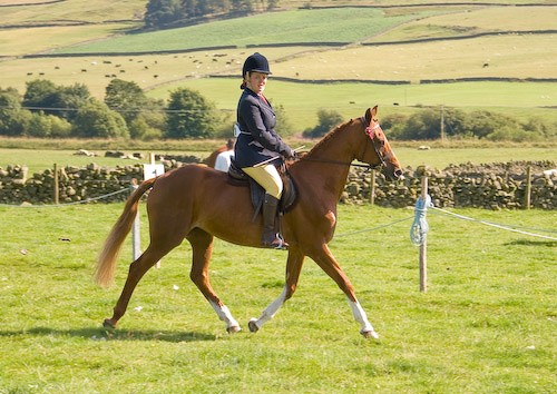 167 - Moniaive Horse Show 2008