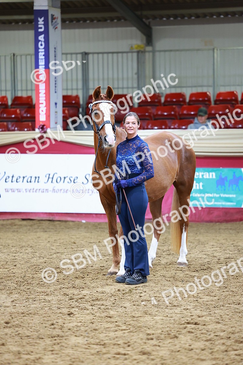 SBM_16028 - Class 901 - Sup Final - IH Diamond