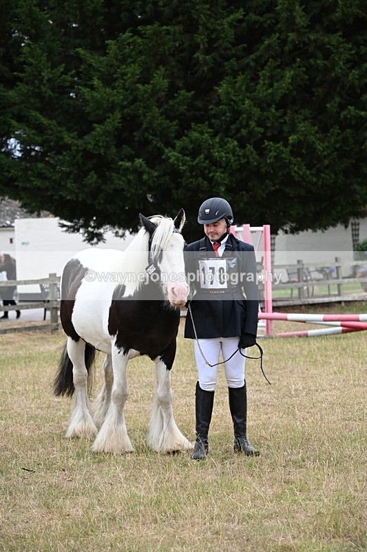 WJ6_8324 - Class 10 Coloured in Hand