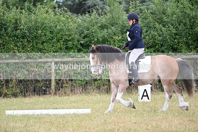 WJ6_3027 - Time 11:07 to 11:34