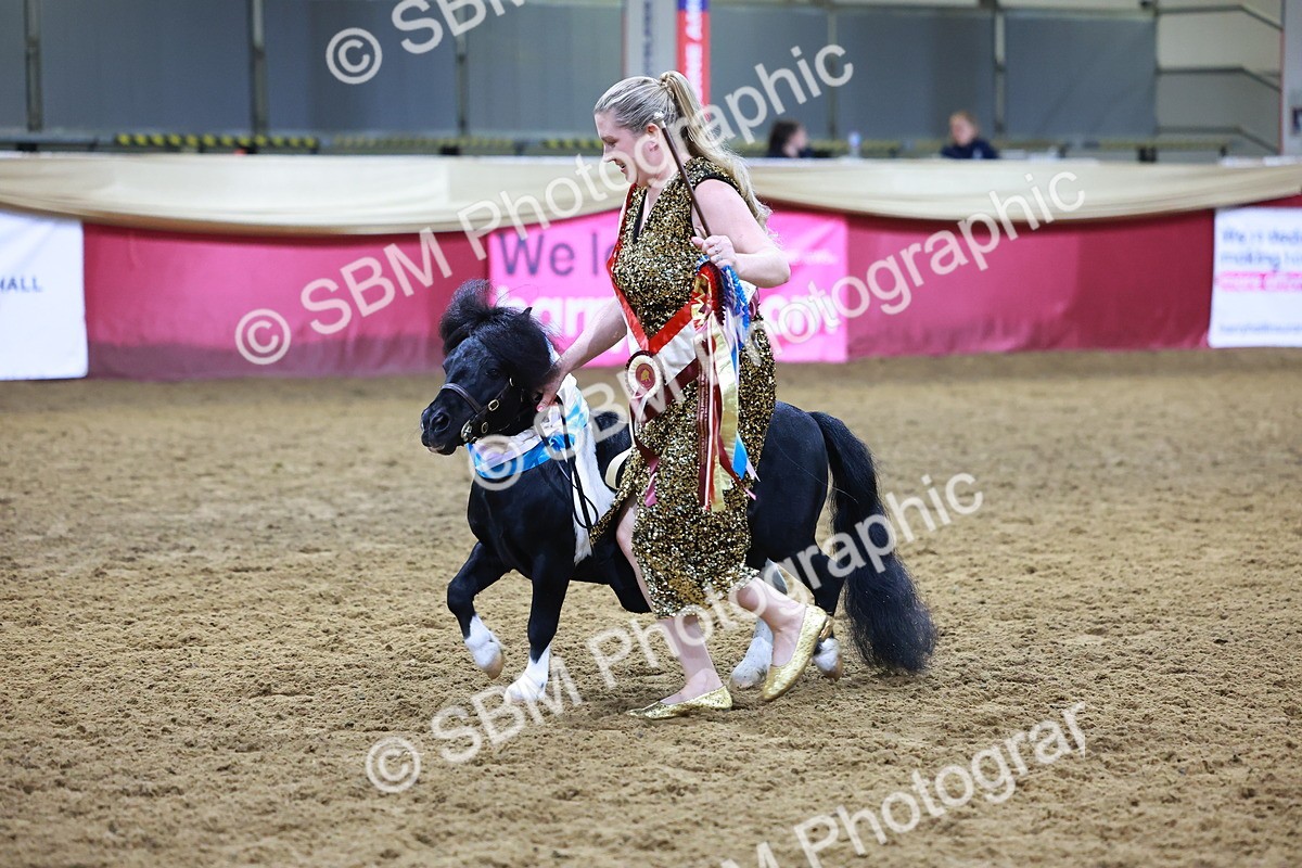 SBM_15355 - Class P - M&M Champ
