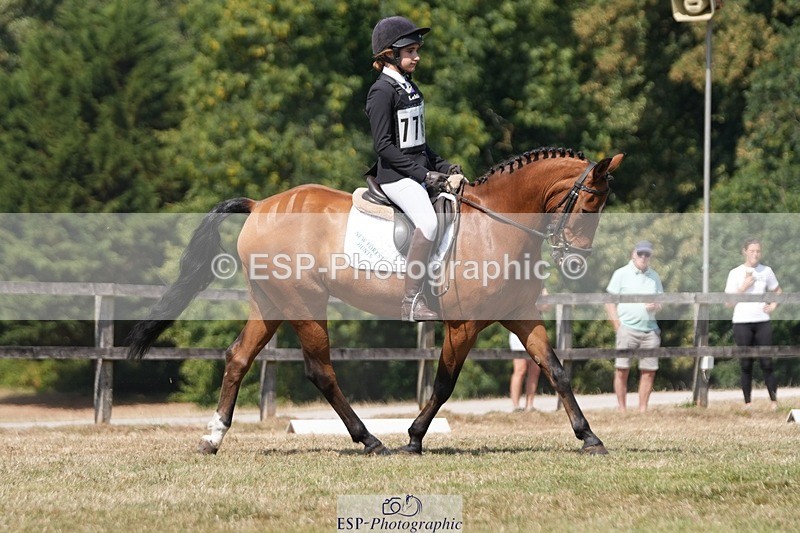 250823A-130655-31125 - Arena A