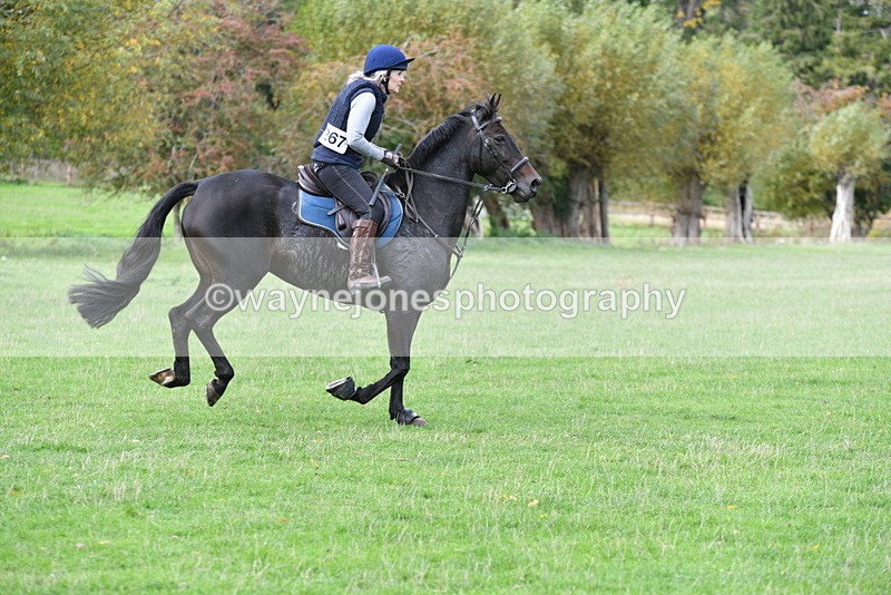 WJ5_0188 - Time 13:25 to 13:58