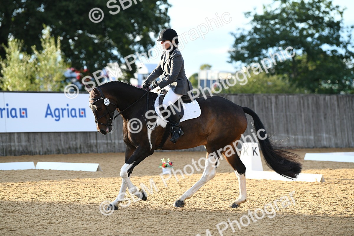 SBM_13428 - D19 Small Tour Championship Elementary 42