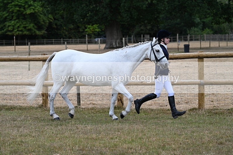 WJ7_8819 - Class 4a Prettiest Mare 14.2hh and over