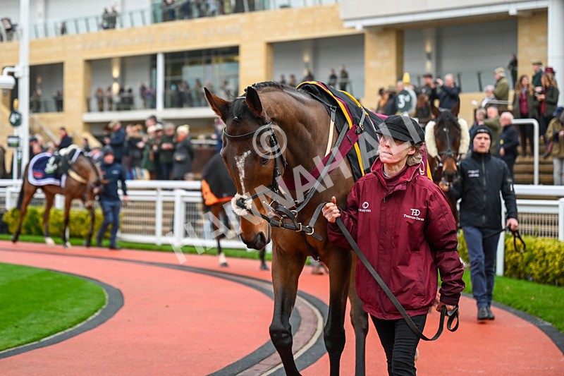 131224-Race 5-Torn And Frayed-9739 - Race 5