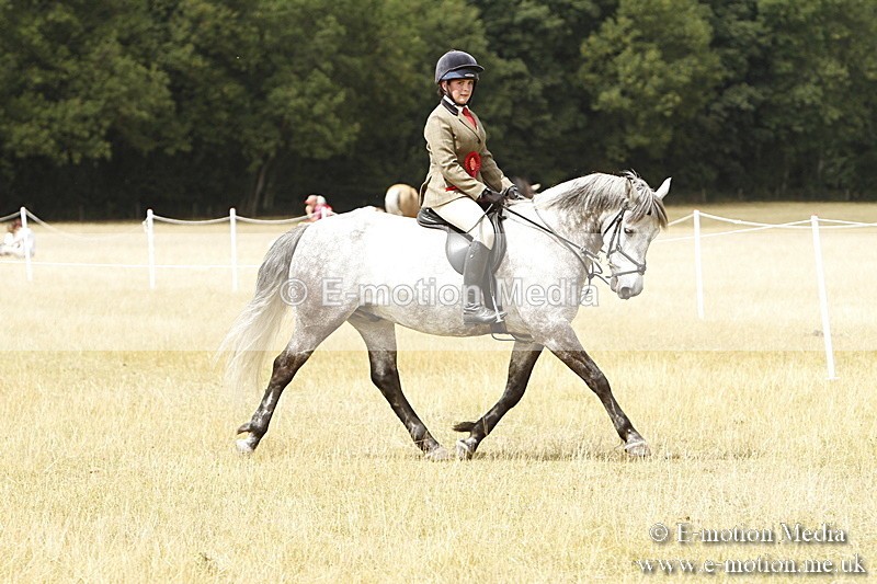 _BS_0989 - Working Hunter Championship BVRC Show 2018
