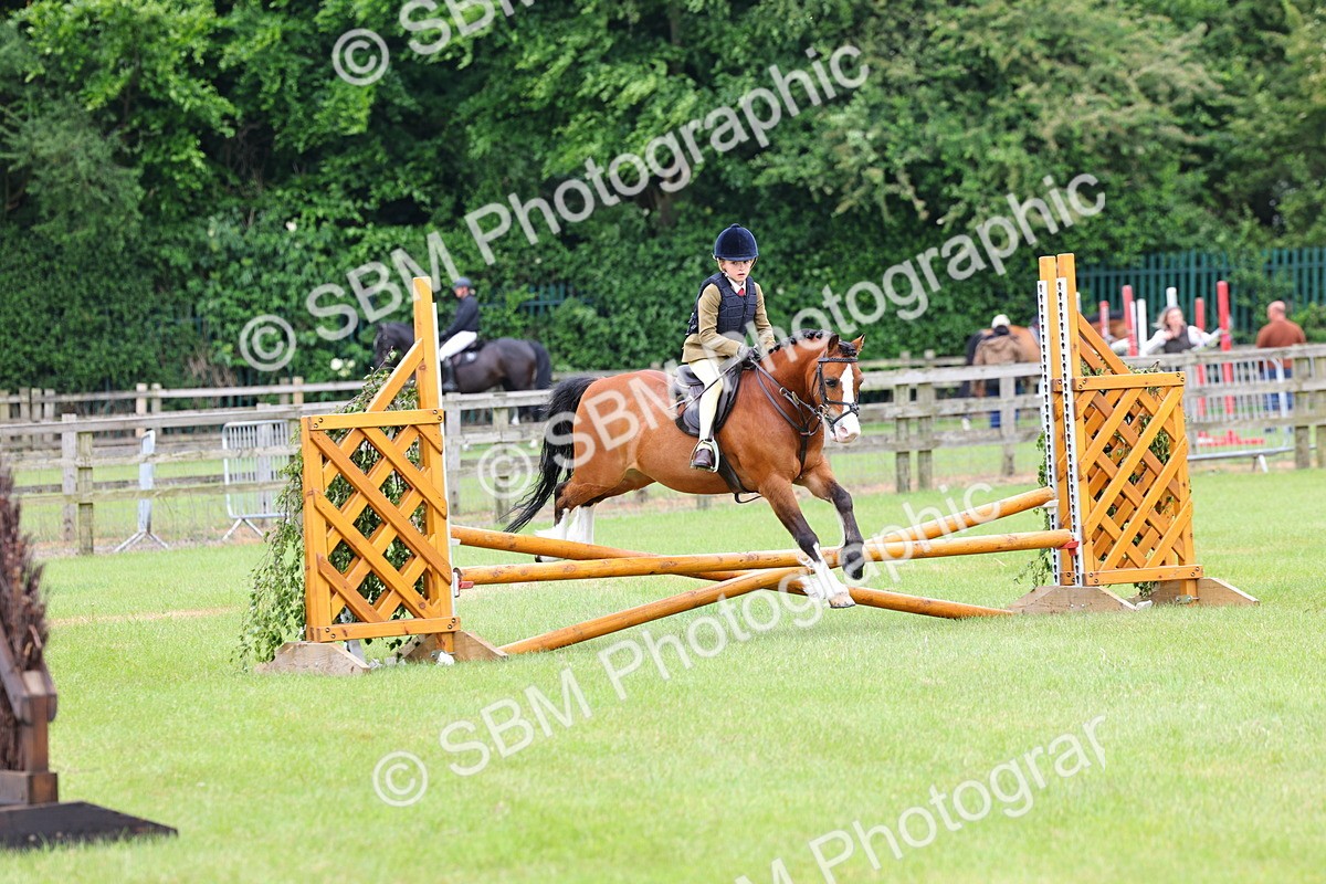 SBM_09473 - Class 44-45 - LIHS BSPS Open Nursery and Cradle Stakes