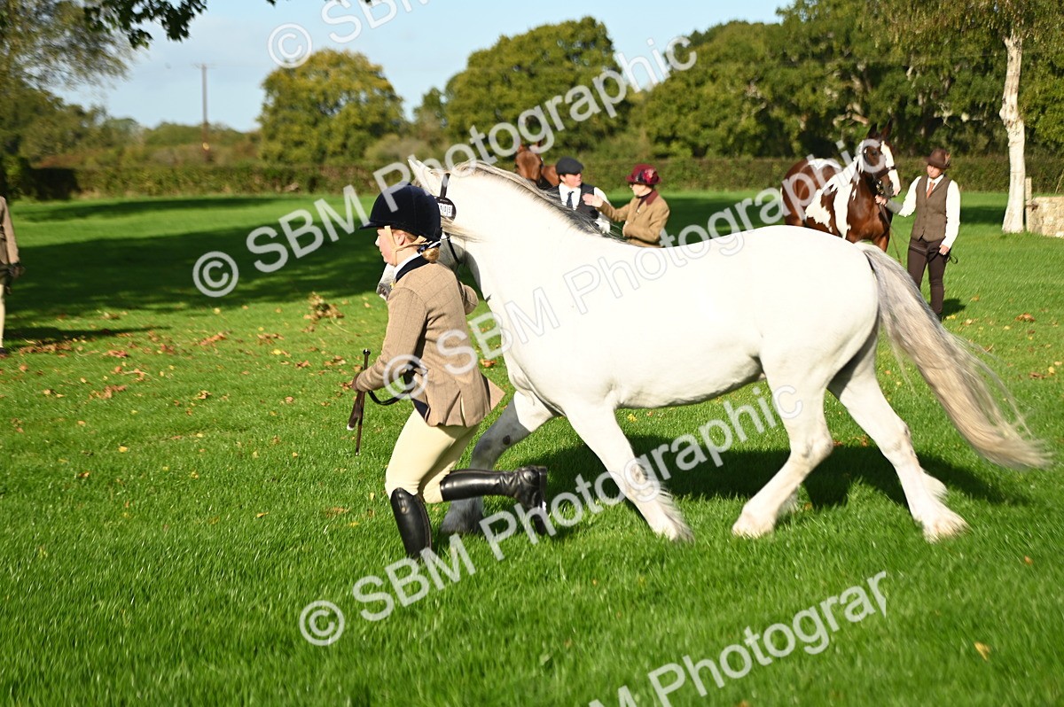 SBM_14772 - S1 - TSR in Hand Horse & Pony Showing