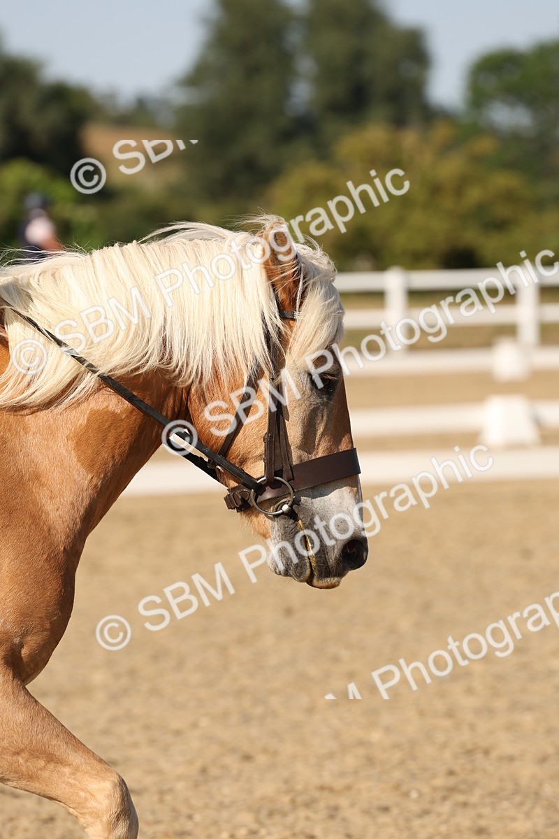 SBM_006935 - Prelim 4 - 15.56-17.51
