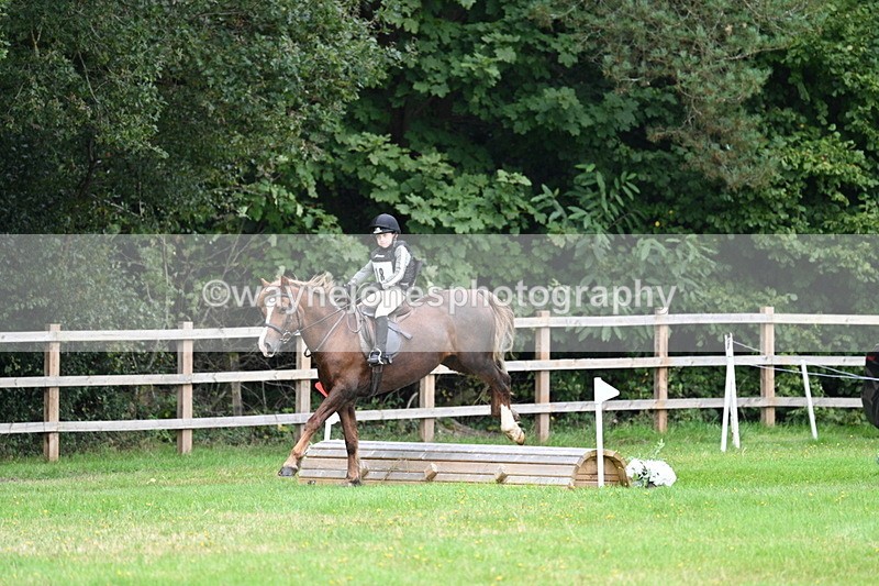 WJ7_7461 - 40cm Time 10:27 to 10:47