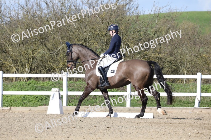 20260314-5060 - CT6 - Elementary 1