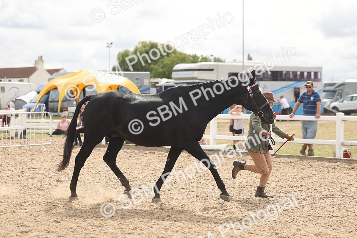 SBM_04938 - Class 20 - IH Veteran