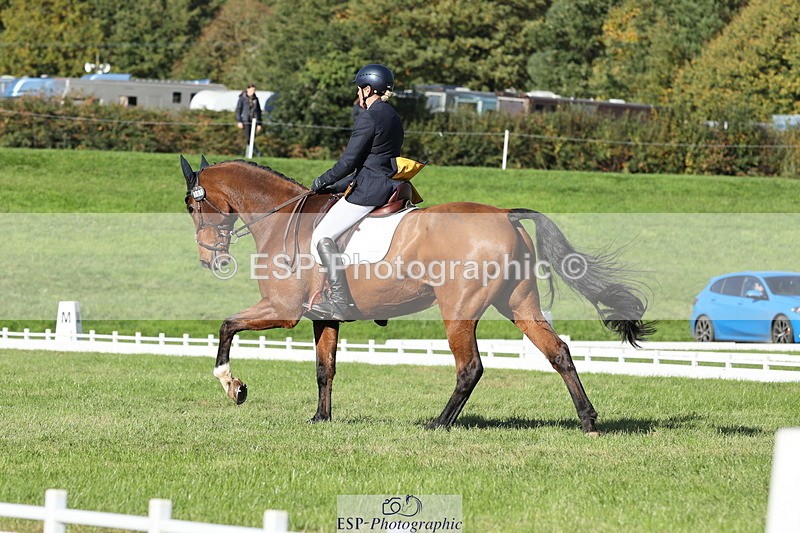251024A-122502-10184 - D-361-Alison.Gill