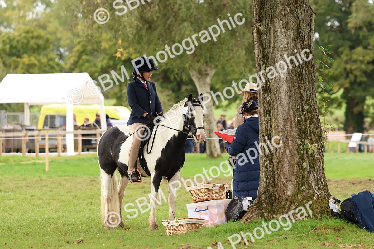 SBM_59946 - S36 - Rehabiliated Rescue Horse & Pony In Hand & Ridden