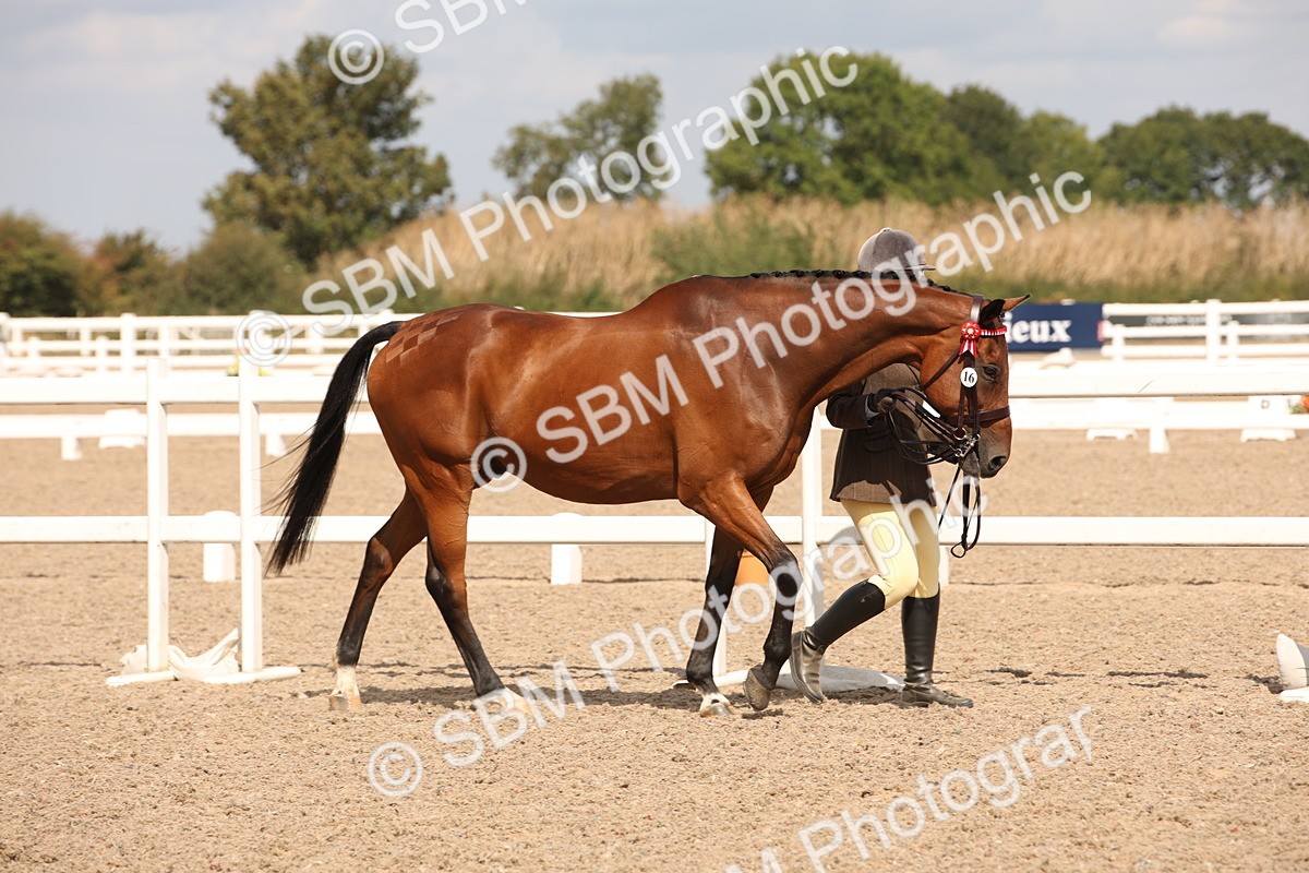 SBM_04528 - Class 20 IH Veteran