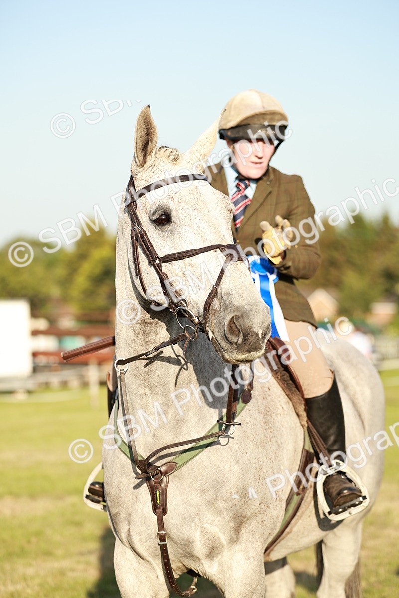 SBM_20580 - Class 117-119 - Sport Horse Working Hunter